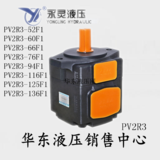  YLC/永灵液压泵PV2R3高压定量叶片泵油泵PV2R3-94F1   PV2R3-116F1   PV2R3-125F1  PV2R3-136F1